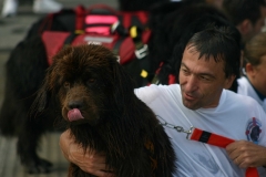 2007