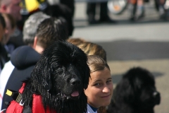 2007