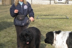 2008
