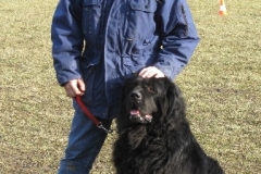 2008