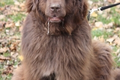 2011