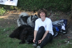 2011