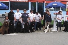 2011