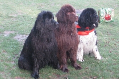 2011