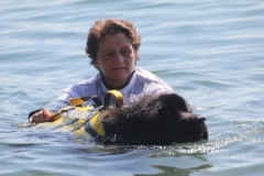 2016