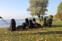 PPV Morges