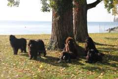 PPV Morges
