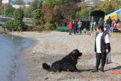 PPV Morges