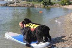 PPV Morges
