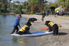 PPV Morges