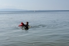 IMG_2307-Petite