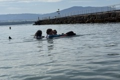 IMG_1211-Petite