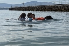IMG_1212-Petite