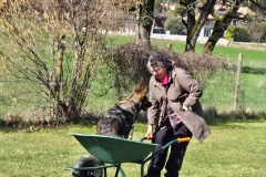 Photo-24.03.25-13-15-25-1
