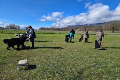 Photo-24.03.25-13-15-27