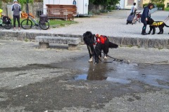 Photo-08.06.25-19-43-34-1
