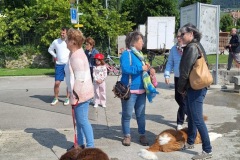 Photo-08.06.25-19-43-34-4