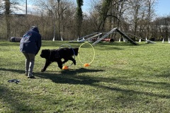 085EDCF5-591C-4853-980E-8D03A5D5A21F_1_201_a