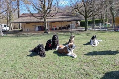 08D045A5-CDD4-405E-A326-091992EB9181_1_105_c