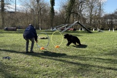 0EAF8F1F-803D-4BAB-8F67-4C73202C2760_1_201_a