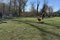 0FA7C1CC-F2CA-4FD2-B6A7-32CF83FB2D40_4_5005_c