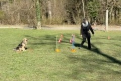 166E8C3C-59D7-4614-A701-B40D390394E1_4_5005_c