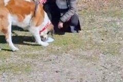 16C7FC21-37D4-43EB-A2CA-6721236C8B9D_4_5005_c