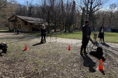 197574B2-1D82-421A-853E-900EFF5D738A_1_201_a