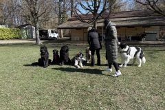 19CE082C-7F1E-4B2A-B2F7-FD412517F010_1_201_a