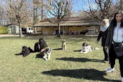 1A6C1519-82D6-41BC-8445-F71050DD17C1_1_201_a