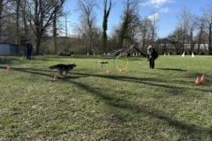 1B72C76F-D518-49B3-B7A1-0802568F73B9_4_5005_c