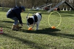 2150D5F7-3A43-4D7F-A986-EB3E395D9FD3_4_5005_c