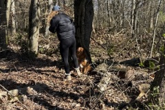 21B4CCDE-1B3B-43E5-B459-87C01513654E_1_201_a