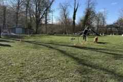 2D9AD938-893E-40CE-A617-51090D53E44D_4_5005_c