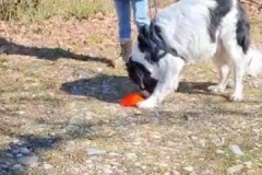 2ECD819A-56CD-4A7E-9F20-E592025D96C0_4_5005_c