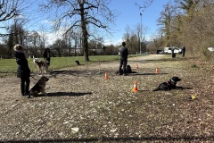 31C6088F-80BB-405A-BEBA-E565D0DCC0BC_1_201_a