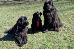 33A7550D-D0AB-4910-8426-B0E7B5A5C0E1_1_105_c