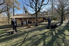 34BA5F3E-F1AE-43AC-A457-BBA0718B106E_4_5005_c