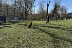 36946EFE-6A5D-439A-A1B7-9FEBE6F5693D_4_5005_c