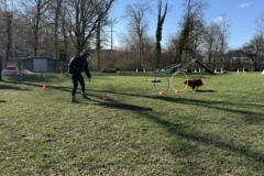 3D5F3266-BC9A-4901-8178-88B1D7B7F145_4_5005_c