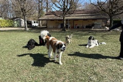 41AC8F36-6A45-4C70-AA66-44091C46E832_1_201_a