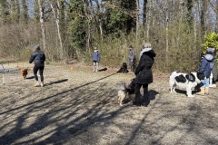 45689549-5683-4387-8FF8-D4E69FBD4223_1_201_a