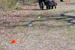 55069E95-A7D4-4AC2-B260-82E5E7BA502B_4_5005_c