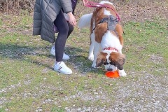 5CFE1D22-EB90-45B6-A060-FE1E373E3D12_1_105_c