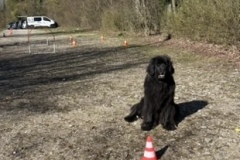 613ACDA1-2285-4CF4-9869-0B6D2FD40978_4_5005_c