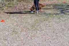 73A396CC-DB5B-433E-B365-006ECC13E997_4_5005_c