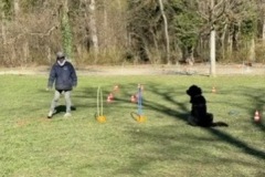 793AFF14-B2C8-4103-BA09-22A19E131F0D_4_5005_c