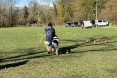 7AFD3854-8A7F-4A2E-8583-D2D44F0A676F_4_5005_c