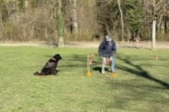 7EFC8A65-23FF-4FCC-9142-77FF74610011_4_5005_c