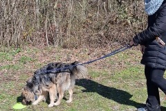 80FB1467-B6FD-4037-925B-4DB1D618CD28_1_105_c